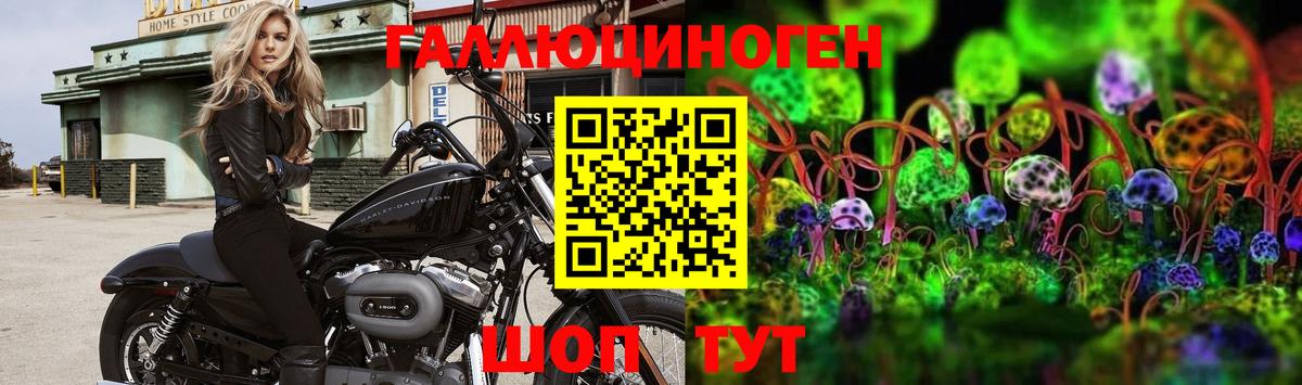 Псилоцибиновые грибы MAGIC MUSHROOMS  Псилоцибиновые грибы мицелий  Вход с VPN  Зерноград 
