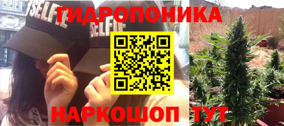 Конопля гибрид  Шишки марихуана семена  Вход с VPN  Бошки Шишки планчик  Зерноград  Шишки марихуана SATIVA & INDICA 